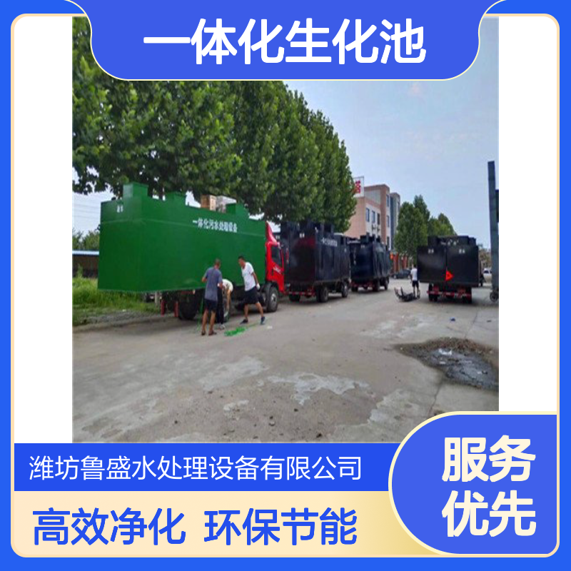 MBR一体化生化池 MBR膜污水处理设备 鲁盛环保