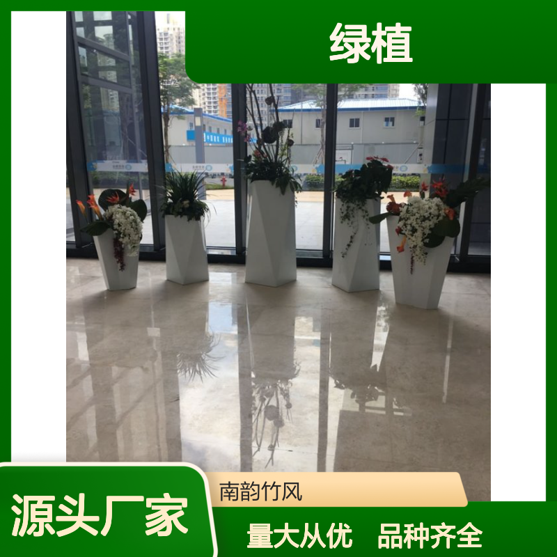 绿植租赁选南韵 承接绿化工程服务 团队合作 品种齐全