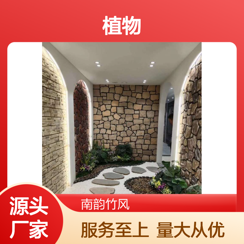 南韵竹风绿植租摆,承接各类绿化工程 品种多样
