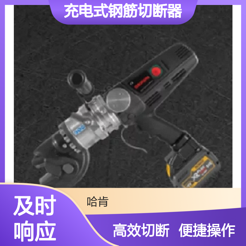 意大利EDILGRAPPA充电式钢筋切断器-Silver Cut20