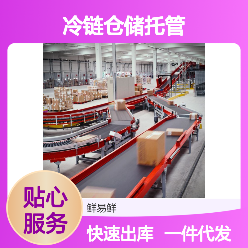 鲜易鲜电商库 一件代发 冷链仓储托管短租服务