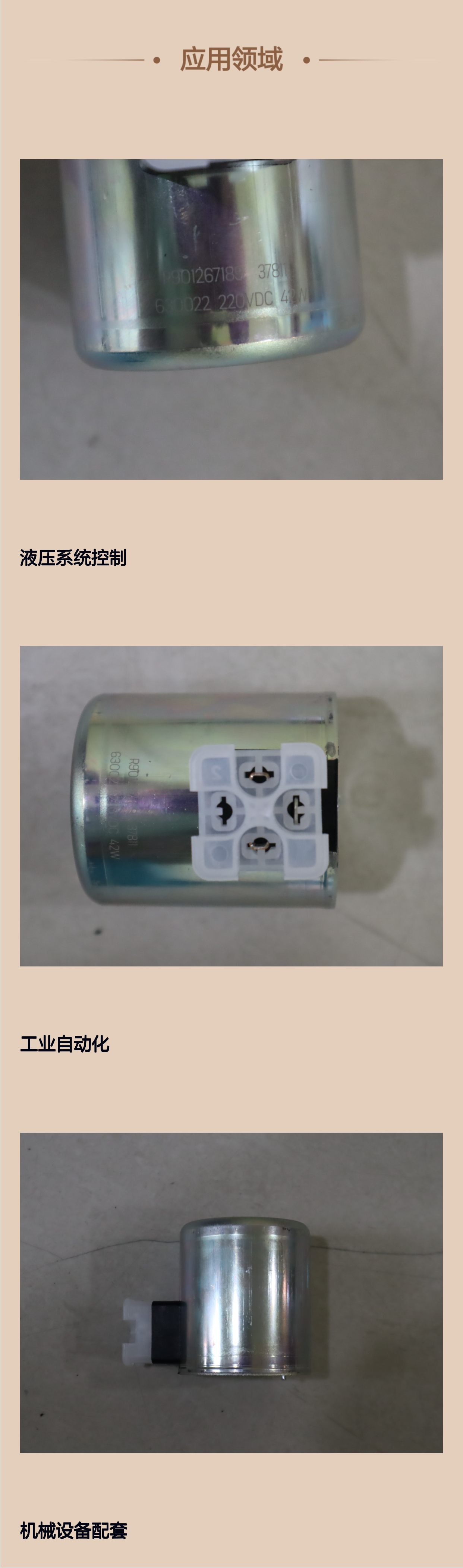 R901267189 AS 220VDC 42W 德国力士乐REXROTH电磁阀10通经线圈