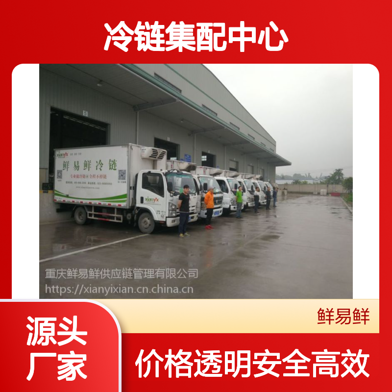 鲜易鲜冷链 广州到南宁，柳州冷冻物流 冷藏配送 冷链集配中心