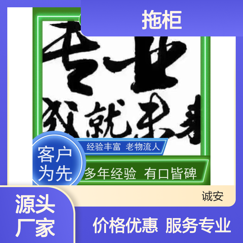 诚安物流 12吨车 香港拖柜 陆运送货到门 一天到