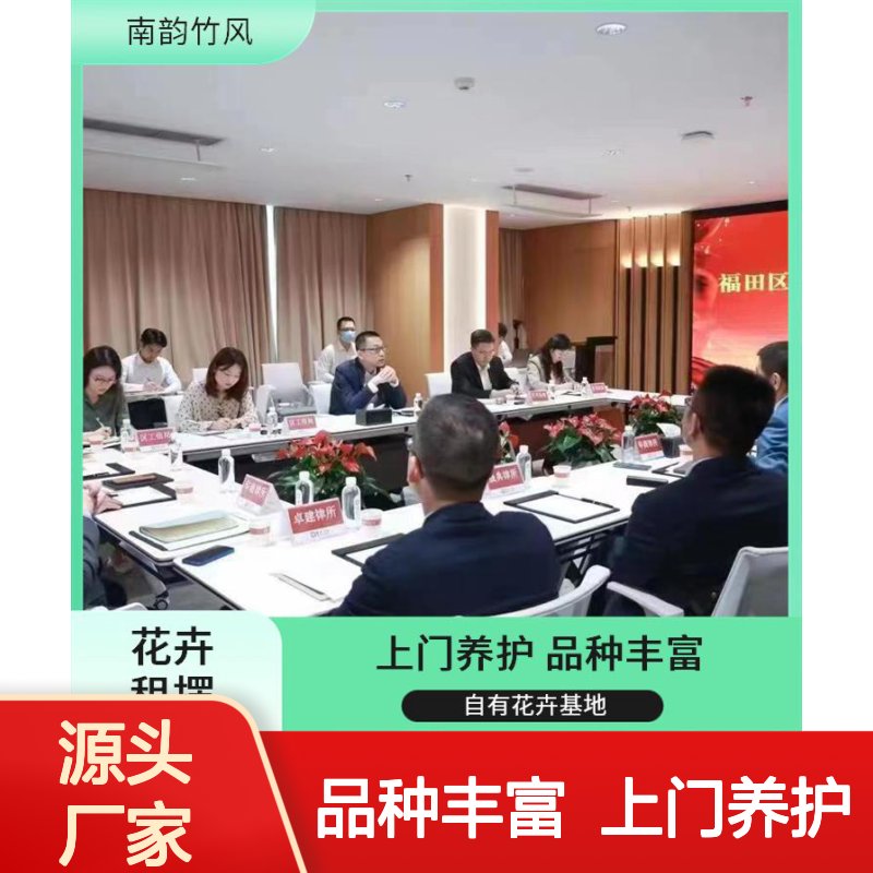 绿植租摆 福 田花卉绿植 公司花卉盆栽布置 精品绿植盆栽摆放设计