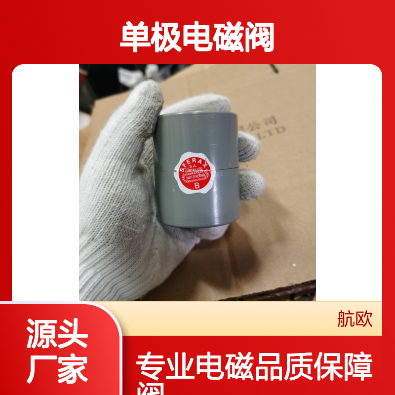 SFERAX轴承3552B SMS单极电磁阀S101005170N 24V 5A 白色