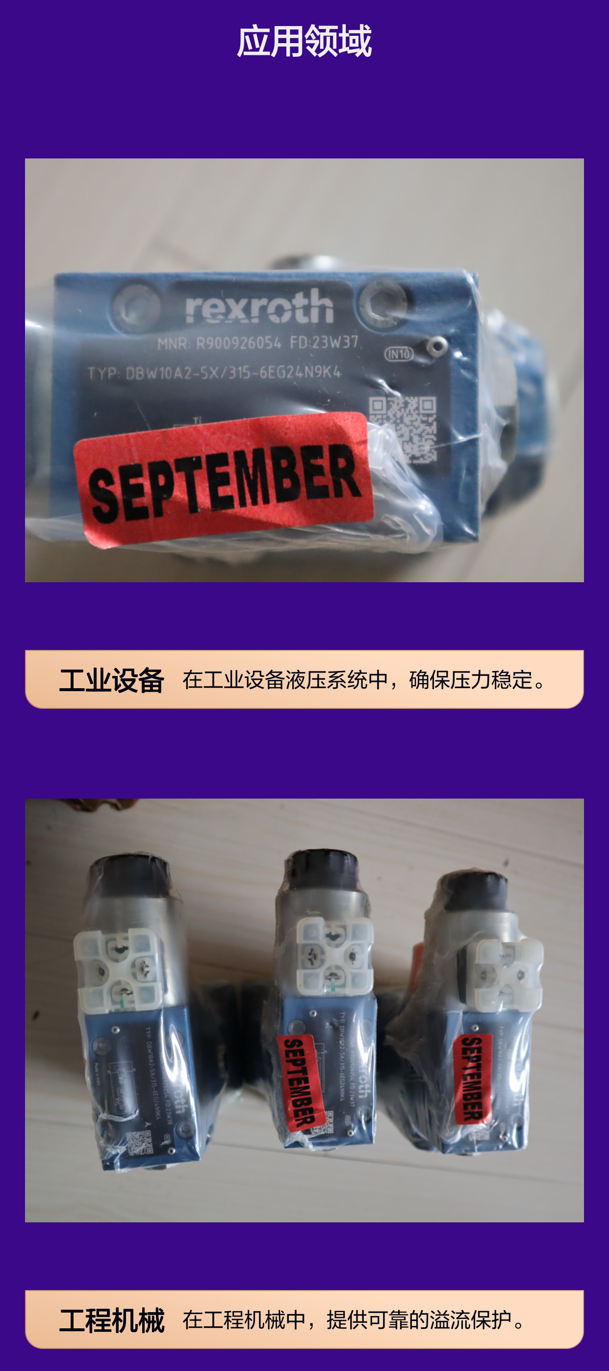 DBW10A2-5X/315-6EG24N9K4 R900926054 德国力士乐REXROTH溢流阀