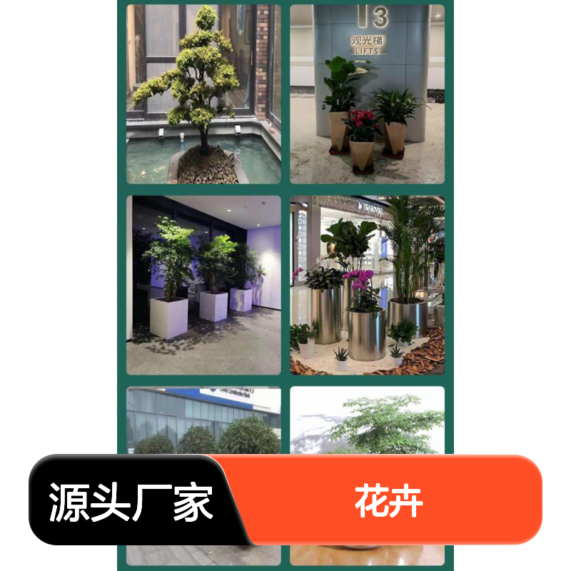 深 圳花卉租赁 酒店植物租赁绿化公司 南韵竹风