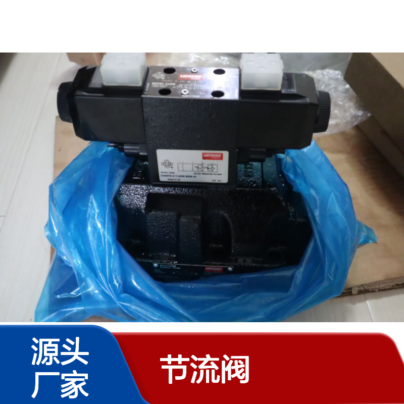 DGMFN 3 Y A2W B2W 41 威格士VICKERS丹佛斯DANFOSS节流阀
