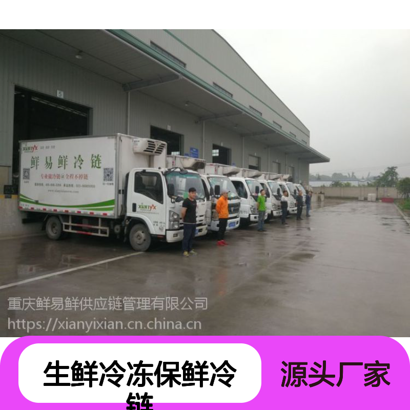 鲜易鲜 生鲜冷冻保鲜冷链 专业物流 全程监控 灵活结算