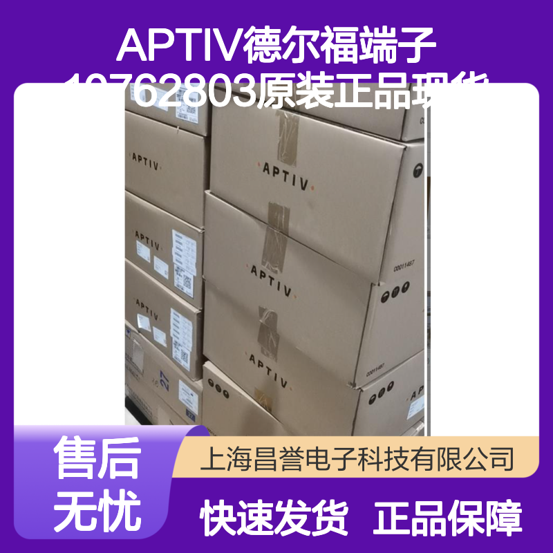 APTIV德尔福端子10762803 原装正品 现货直发 快速交付