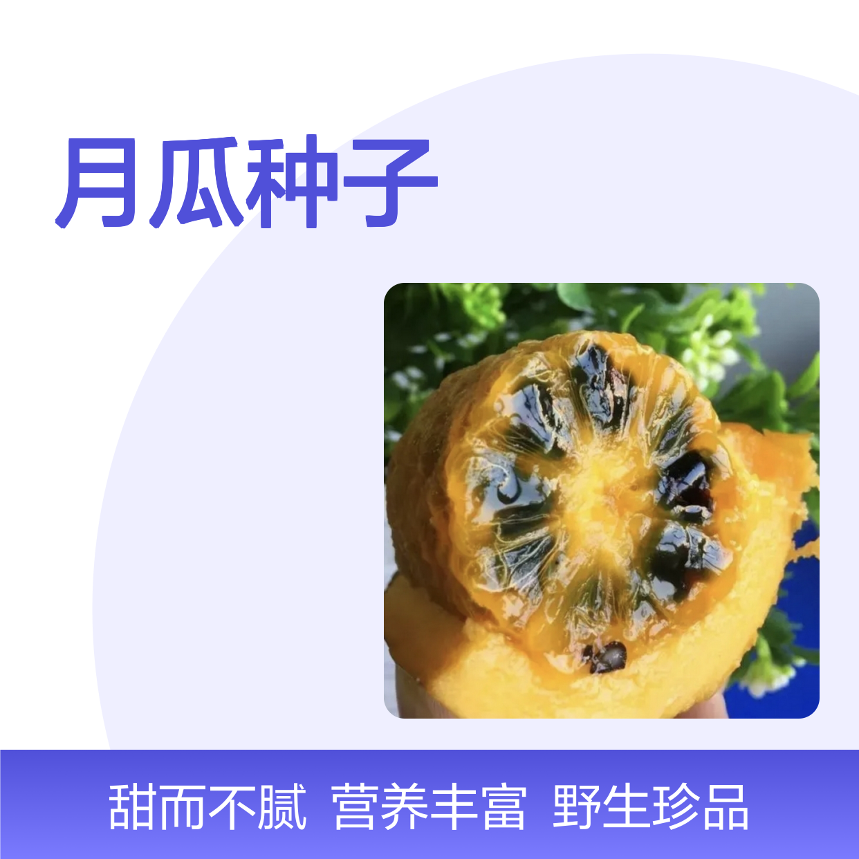 新采收当年九月瓜种子 苗木合作社自营免费技术指导
