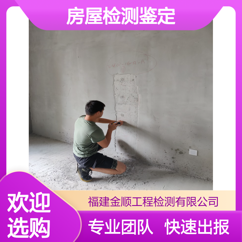 金顺 钢结构厂房安全检测鉴定 房屋质量检测鉴定中心 资质齐全