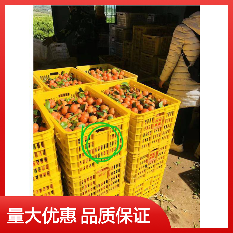 乔丰塑料周转箱 全新料生产 环保无味 承重力强