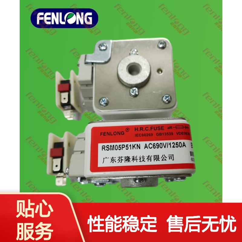 RS76A快速熔断器-FENLONG芬隆品牌 平板式半导体设备保护用