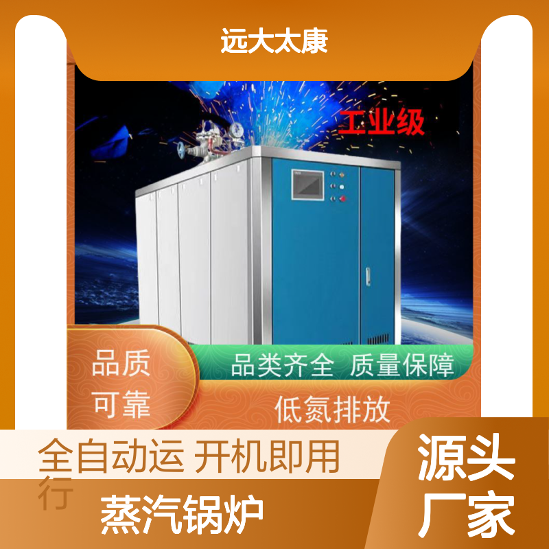远大太康 D级蒸汽锅炉 豆制品加工专用 1吨免报检设备