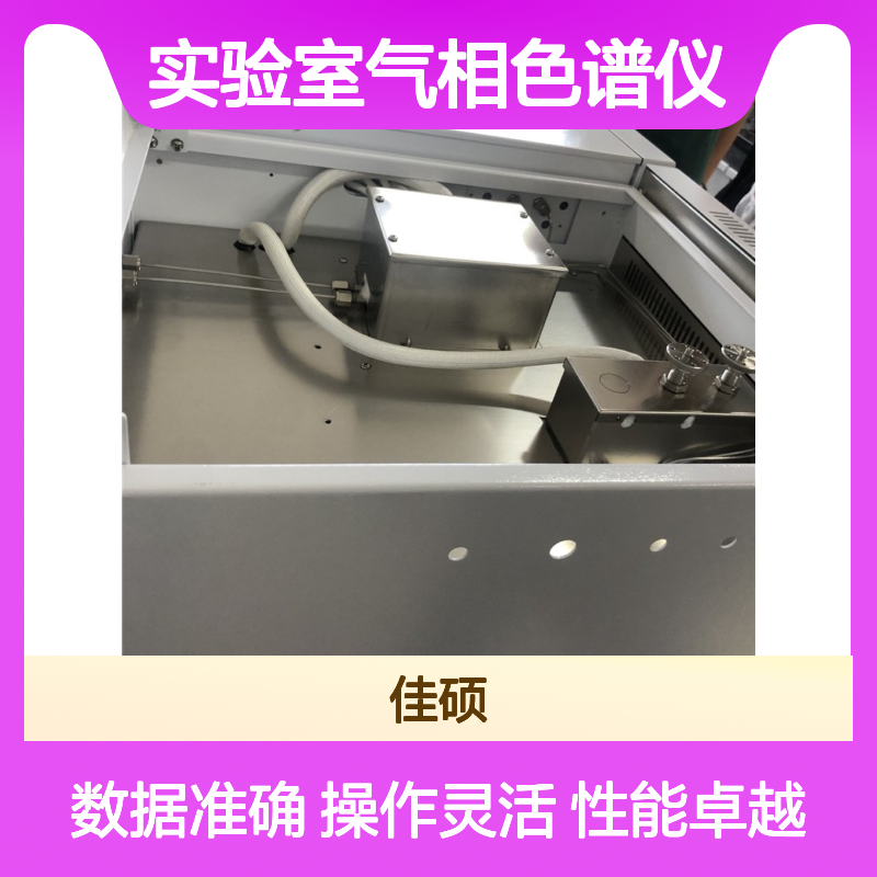 实验室气相色谱仪 高效色谱分析仪 稳定可靠 功能全面