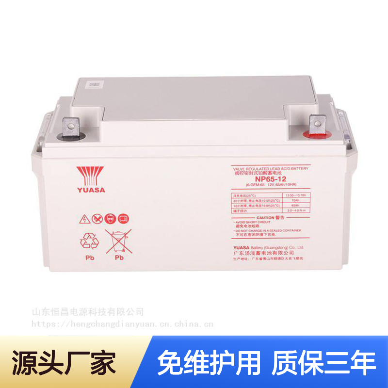 YUASA汤浅蓄电池NP100-12 12V100AH消防UPS/EPS机房免维护