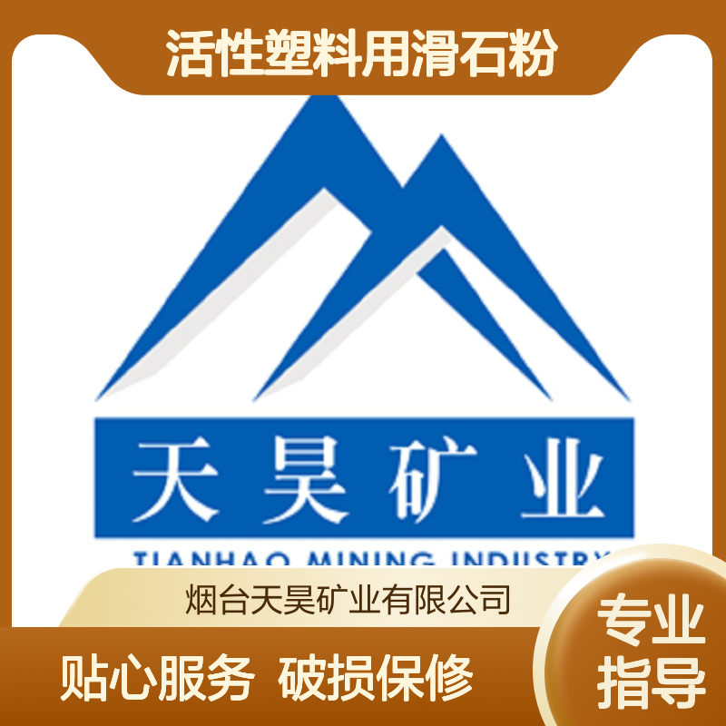 活性塑料用滑石粉 天昊矿业直供 规格齐全定制服务