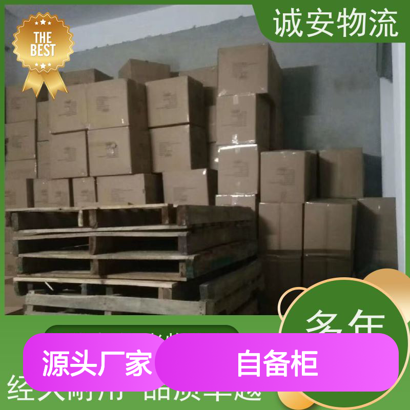 诚安物流 40尺自备柜 东莞到深圳 专人跟单 半天到