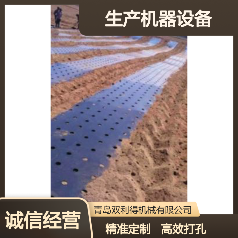 根据客户定制生产线塑料薄膜地膜打孔机生产机器设备