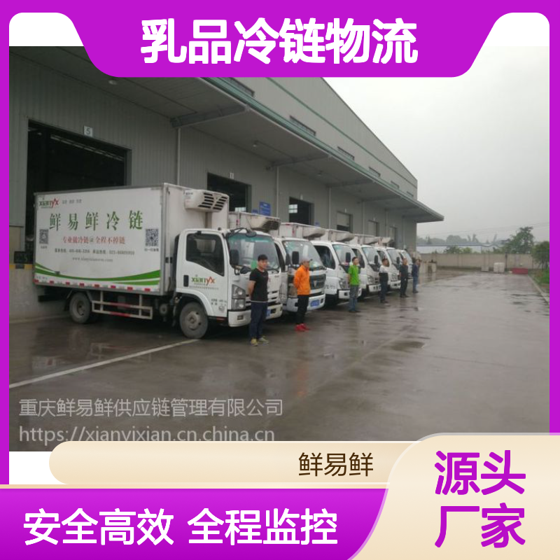 广州到南宁，柳州冷冻物流 冷藏配送冷冻运输 药品配送 乳品冷链物流