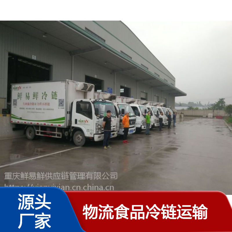 鲜易鲜冷链运输 专车配送菜品种类齐全 送货准确守时