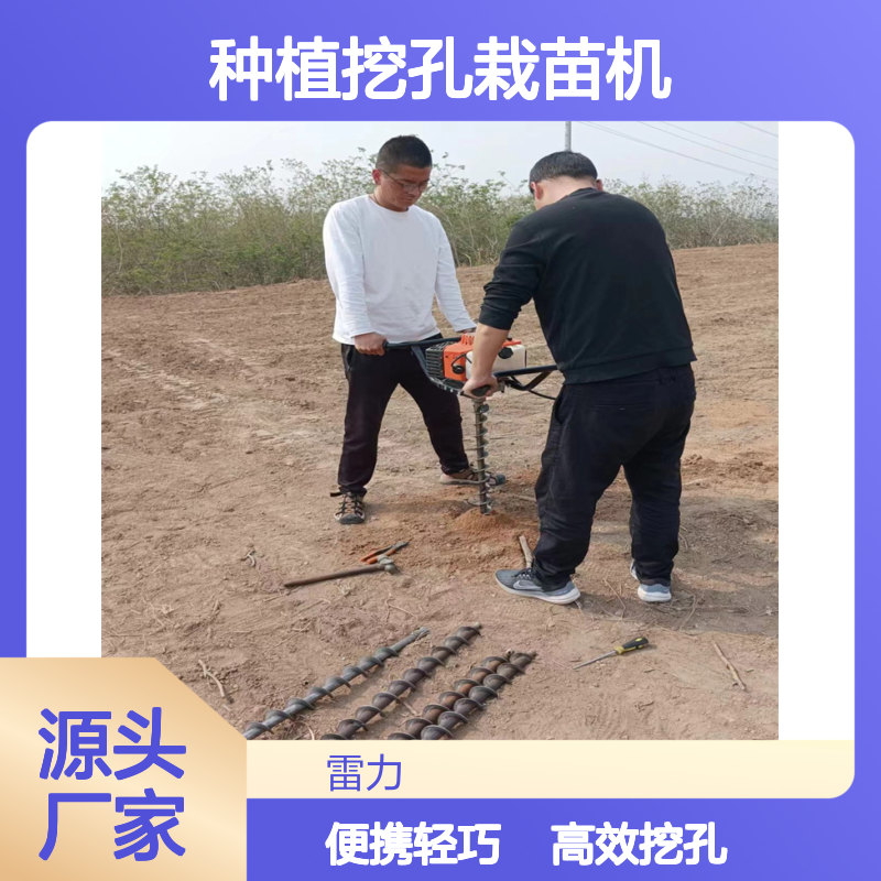 小型种植挖孔栽苗机 手提式螺旋安装引孔机便携二冲程有劲