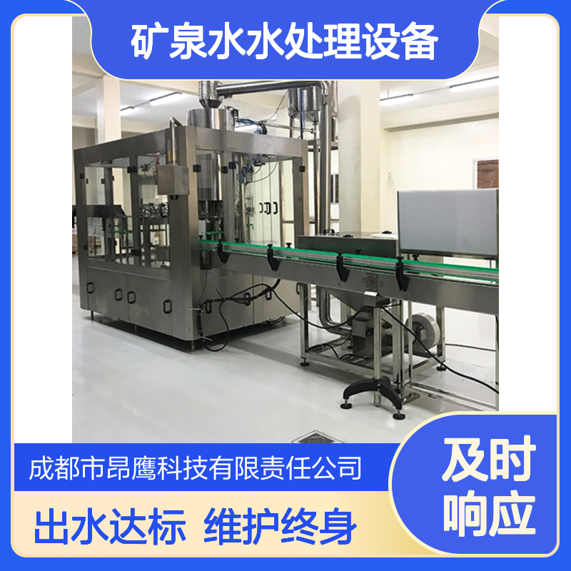 纯净水矿泉水水处理设备 反渗透RO系统 出水稳定达标 厂家终身维护