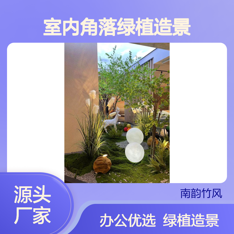室内角落绿植造景 办公室植物租摆场景布置 南韵竹风