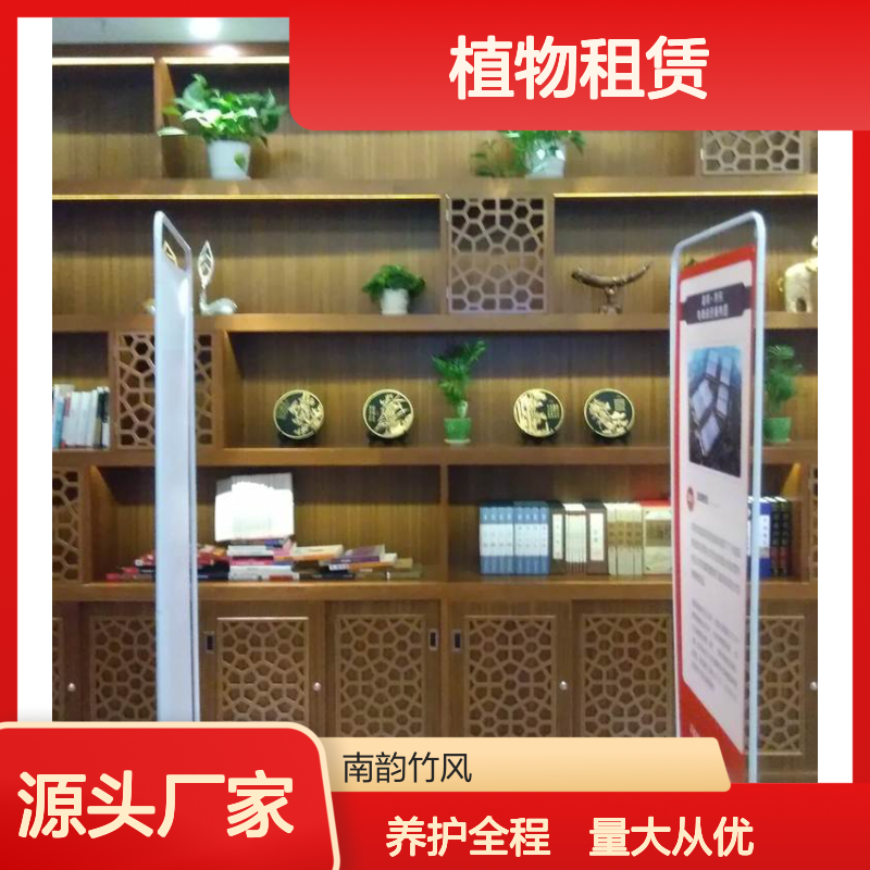 南韵竹风 绿植租摆 长期短期均可 货源充足 品质如一