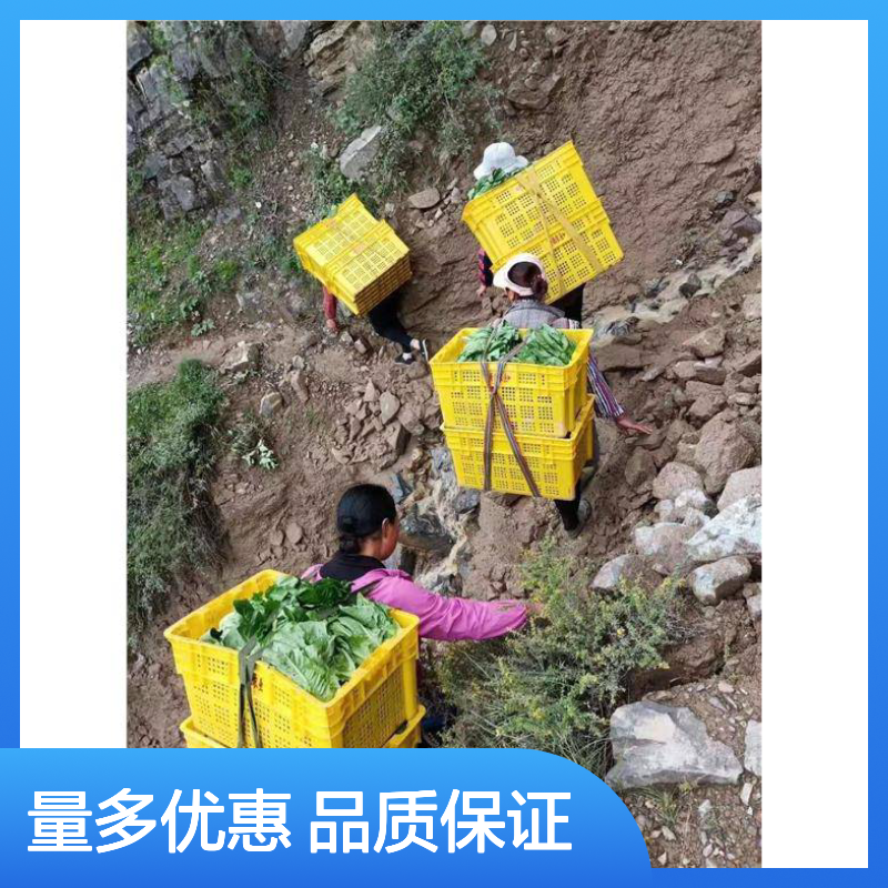乔丰塑胶周转箱 多规格可选 无毛边异味 防蛀虫耐磨