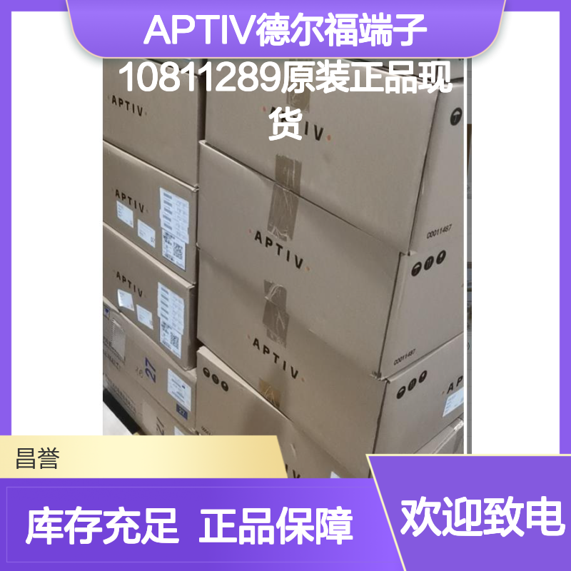 APTIV德尔福端子10811289 原装进口现货 国内代理正品保证