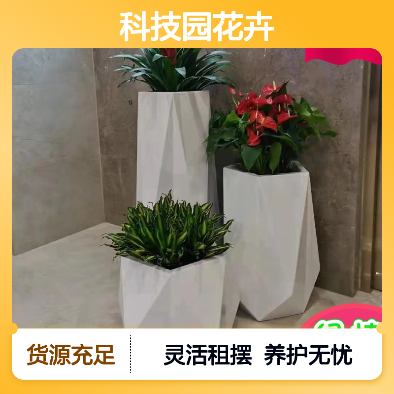 科技园花卉盆栽出租 蝴蝶兰绿植租摆 长期短期灵活选择