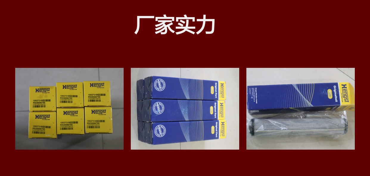 R928006755 2.0100 PWR10-A00-0-M 1002731B 德国汉格斯特HENGST滤芯