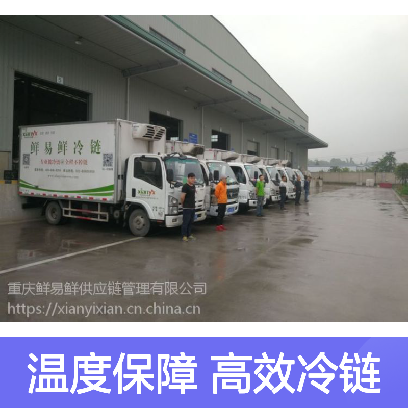 广东冷藏运输 鲜易鲜鲜蔬冷冻物流专线 冷链往返 温度保障