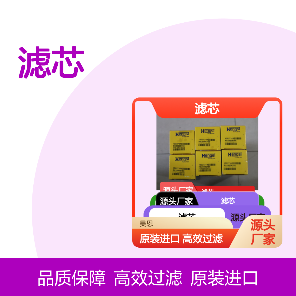 R928006755 2.0100 PWR10-A00-0-M 1002731B 德国汉格斯特HENGST滤芯