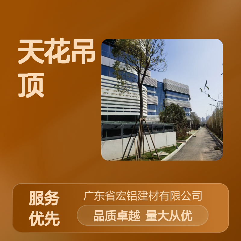 本市高端雕花腰线铝板天花 吊顶工程案例 轻质防火防潮