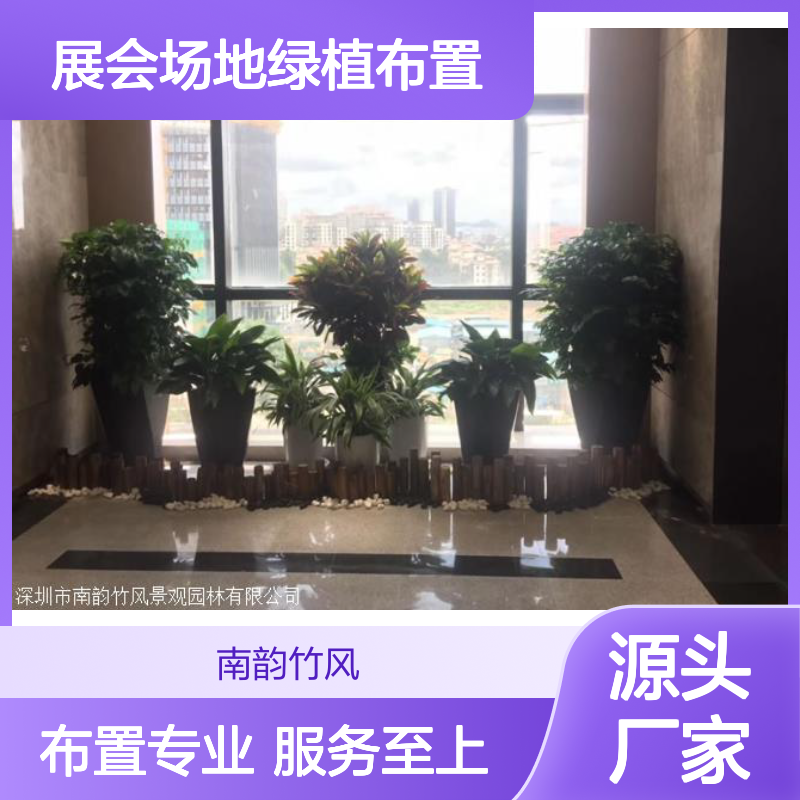 临时植物租赁服务 会展中心绿植供应 展会场地绿植布置 南韵竹风