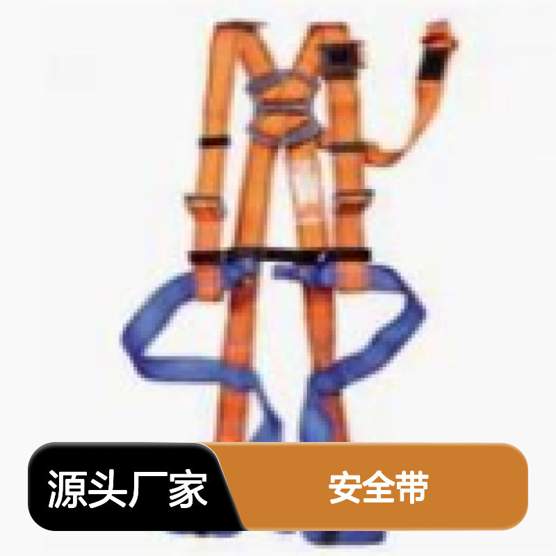 百图喜安全防护用品供应 法国SFE 安全带 H4 EN 361