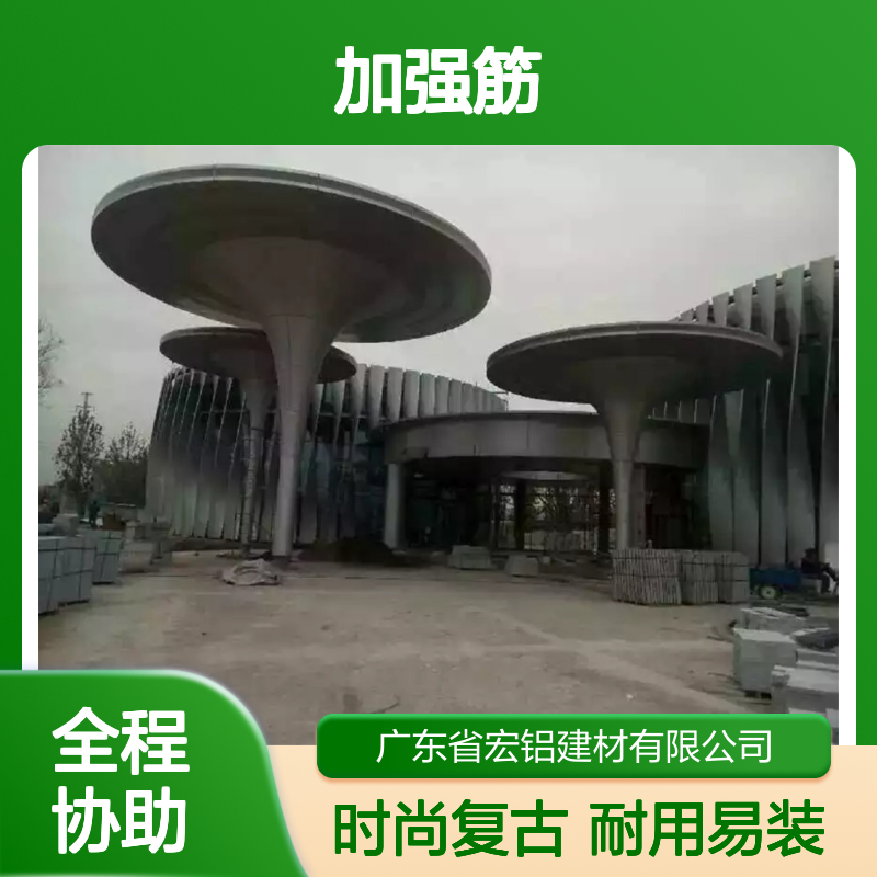 金属色复古风潮：演绎经典时尚的现代碰撞 施工配件 加强筋