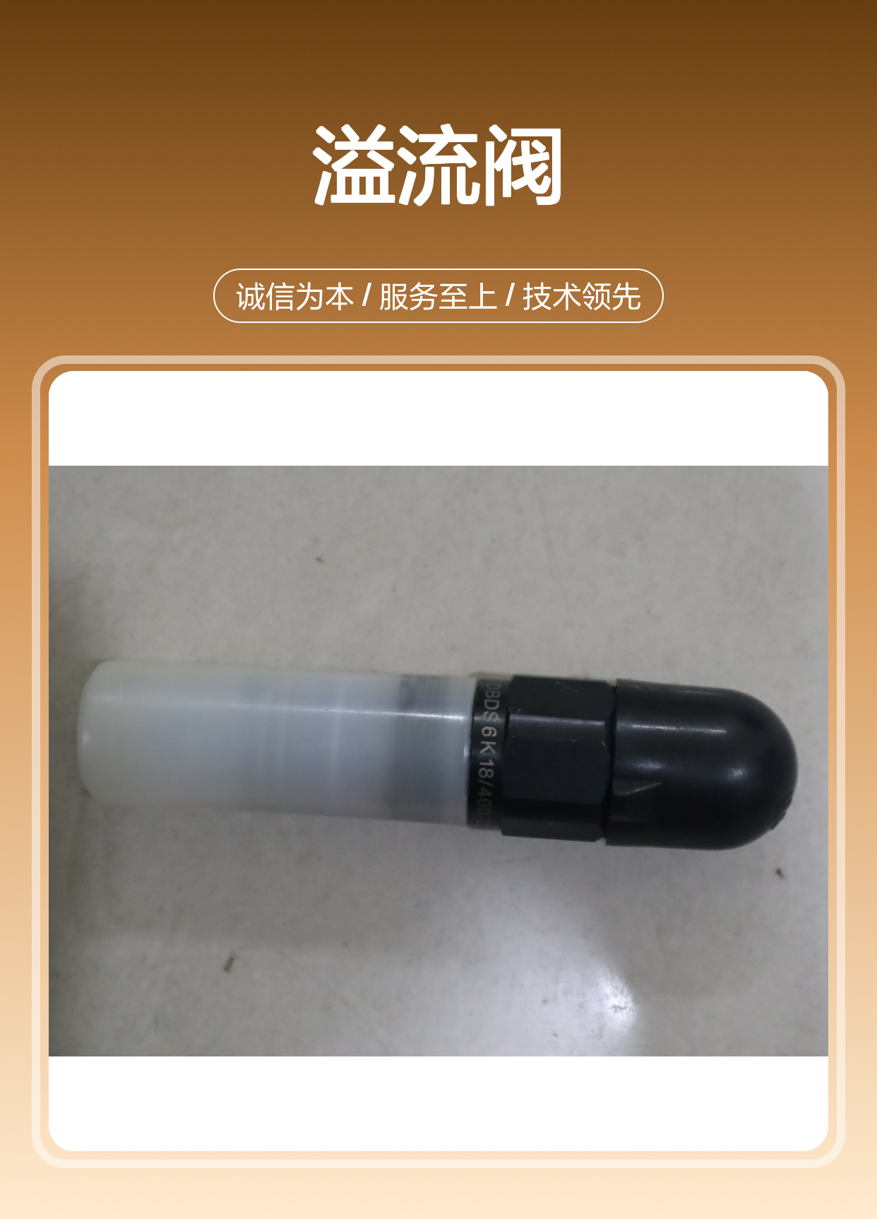 R900423726 DBDS6K1X/400 DBDS6K18/400 德国力士乐REXROTH溢流阀