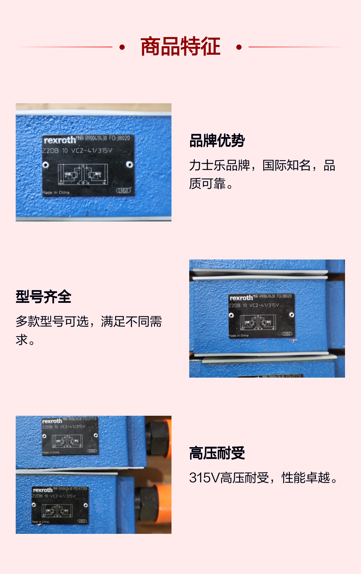 Z2DB10VC2-40/315V R900411430 Z2DB10VC2-41/315V 力士乐REXROTH阀