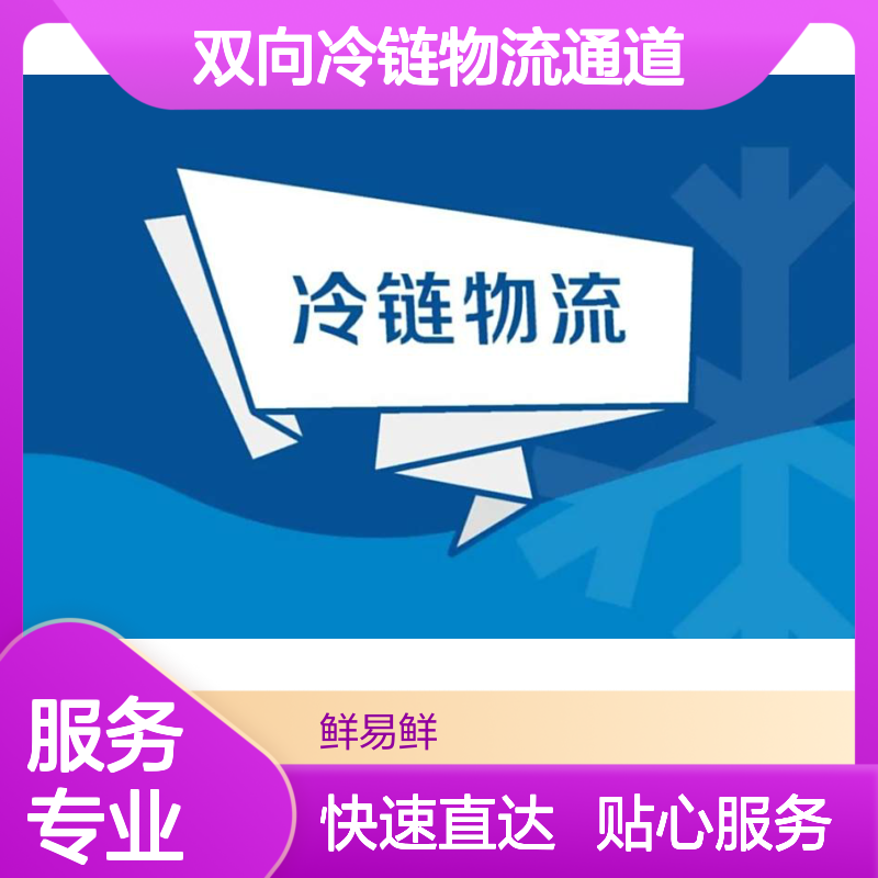 冷冻物流 生鲜冷链 城乡双向冷链物流通道 快速实惠