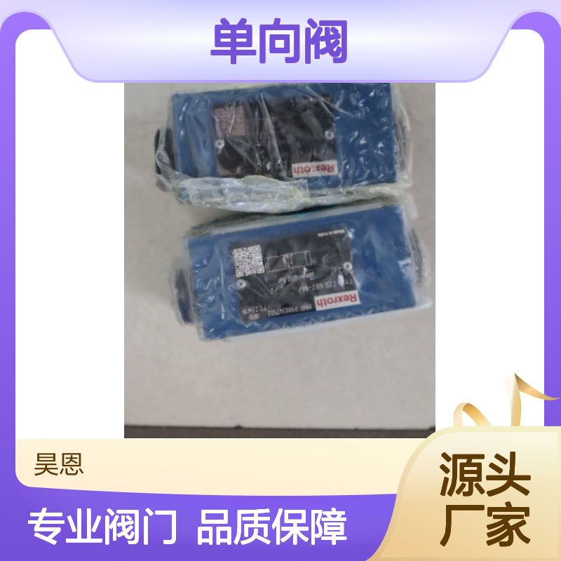 R900347502 Z2S6B2-60/ Z2S6B2-61/ Z2S6B2-67/ 力士乐REXROTH单向阀