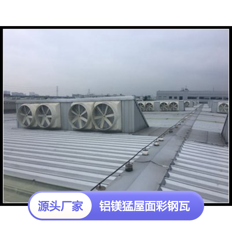 铝镁猛屋面彩钢瓦 翻新更换专家