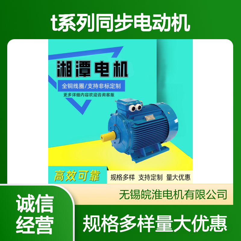 湘1潭2电机T系列同步电动机压缩机破碎机球磨机用