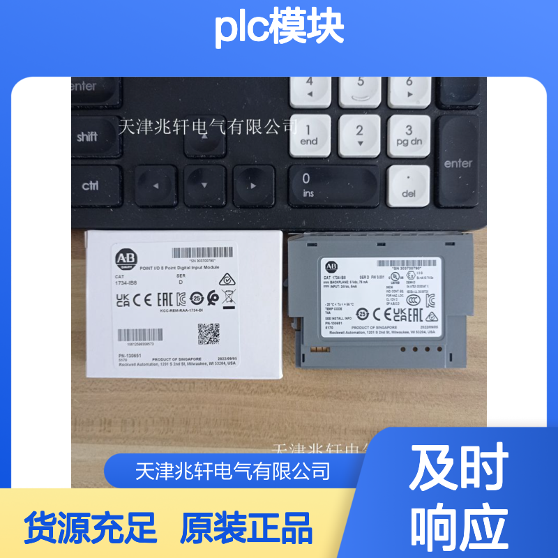 罗克韦尔PLC模块1734-EP24DCK 原装正品货源足