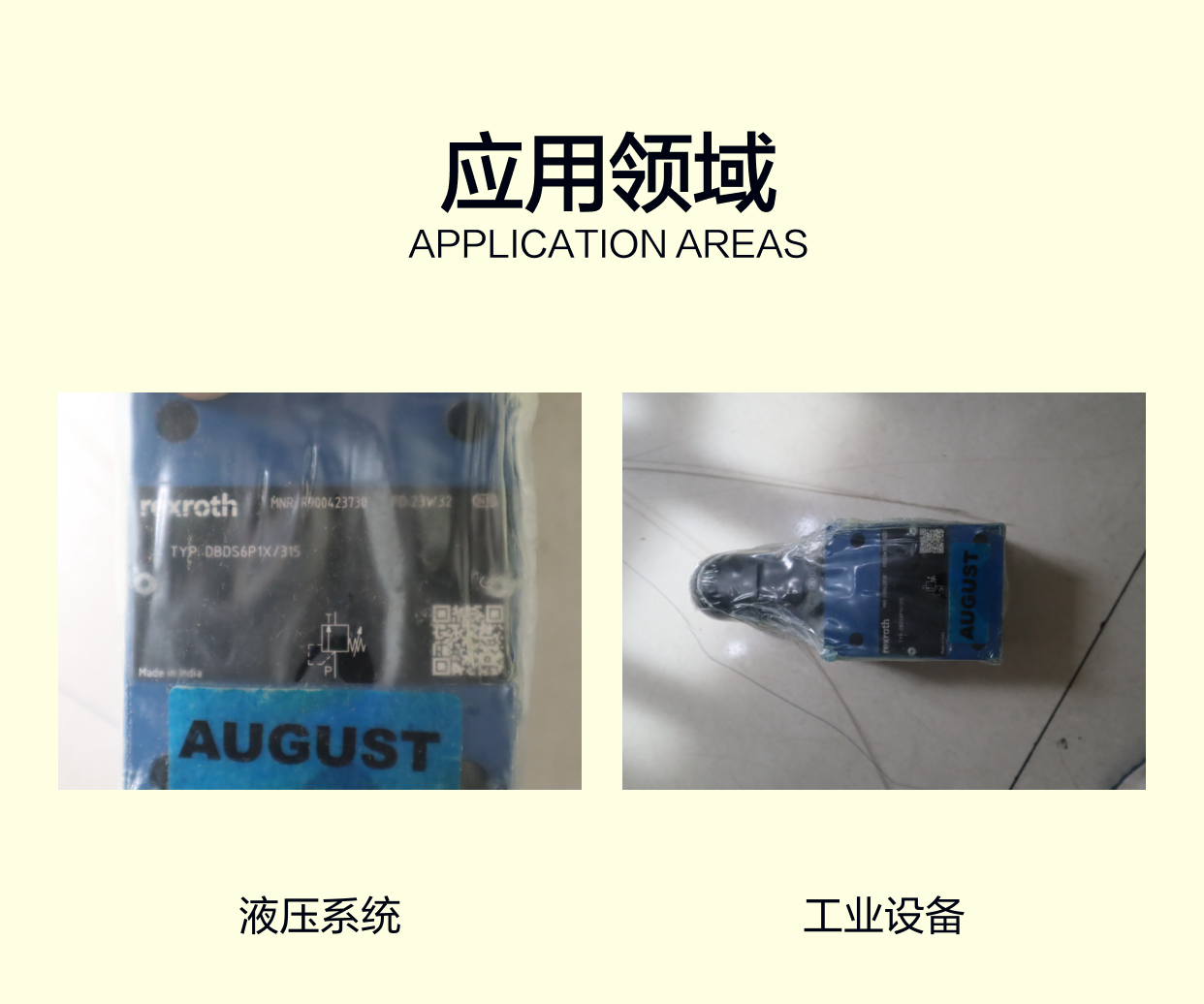 R900423730 DBDS6P1X/315 DBDS6P1A/315 德国力士乐REXROTH溢流阀