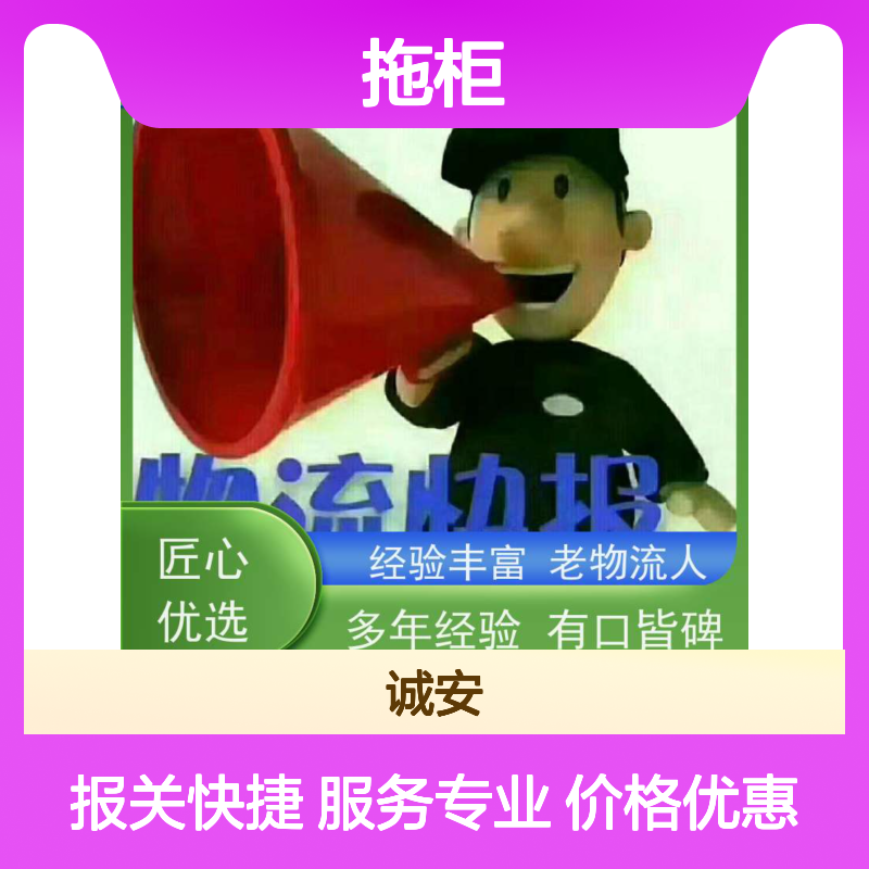 诚安物流平板车盐田拖柜一般贸易买单报关次日到